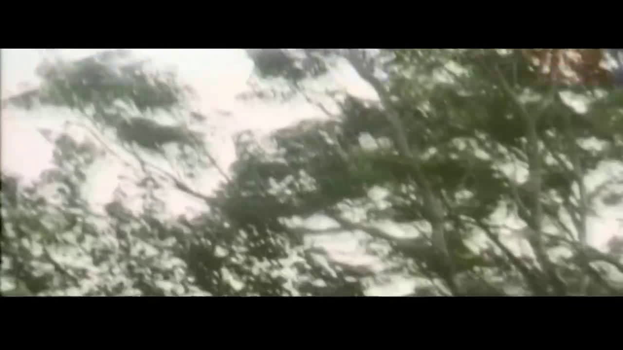 艳鬼情未了