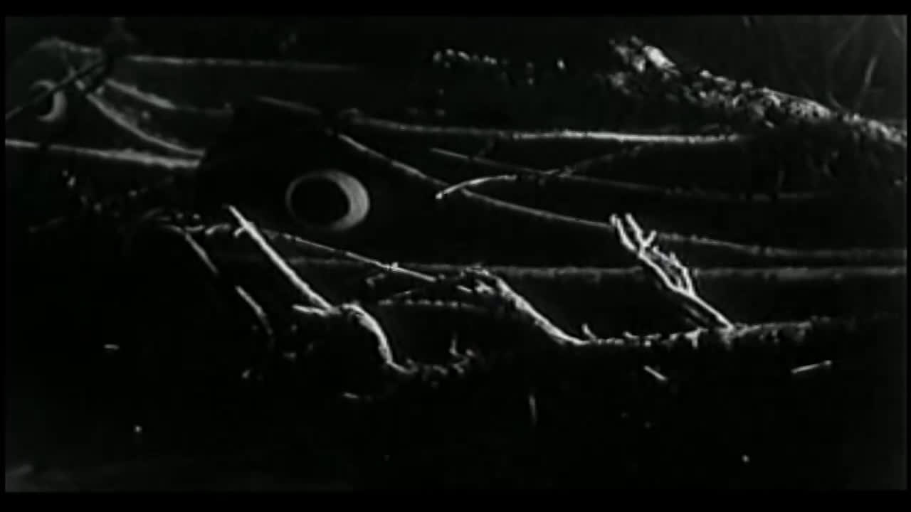 渔光曲